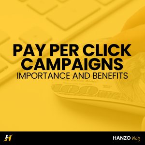 ppc campaigns - hanzo solutions and marketing